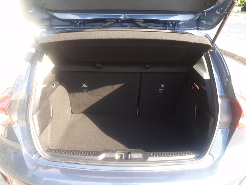 FORD Focus active 1.5 ecoblue s&s 120cv