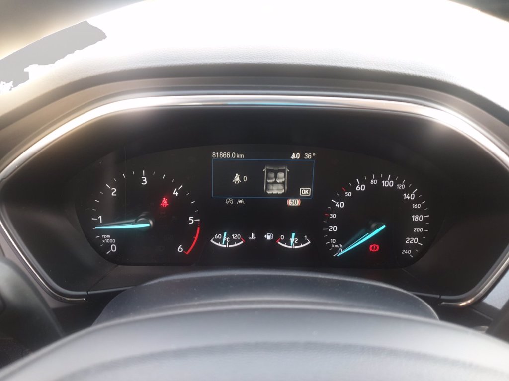 FORD Focus active 1.5 ecoblue s&s 120cv