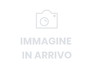Aigo X