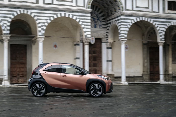 1920 2026 Aygox Highgrade Cinnamon Dynamic 017