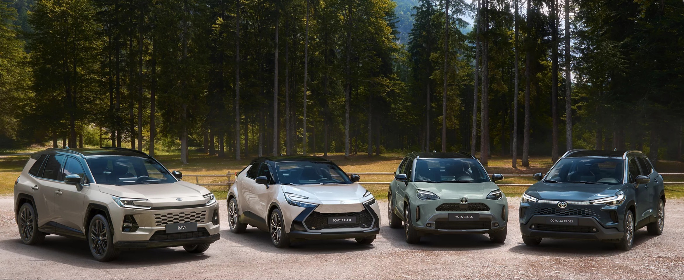 GAMMA SUV TOYOTA Banner